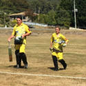 Junior Cricket Update